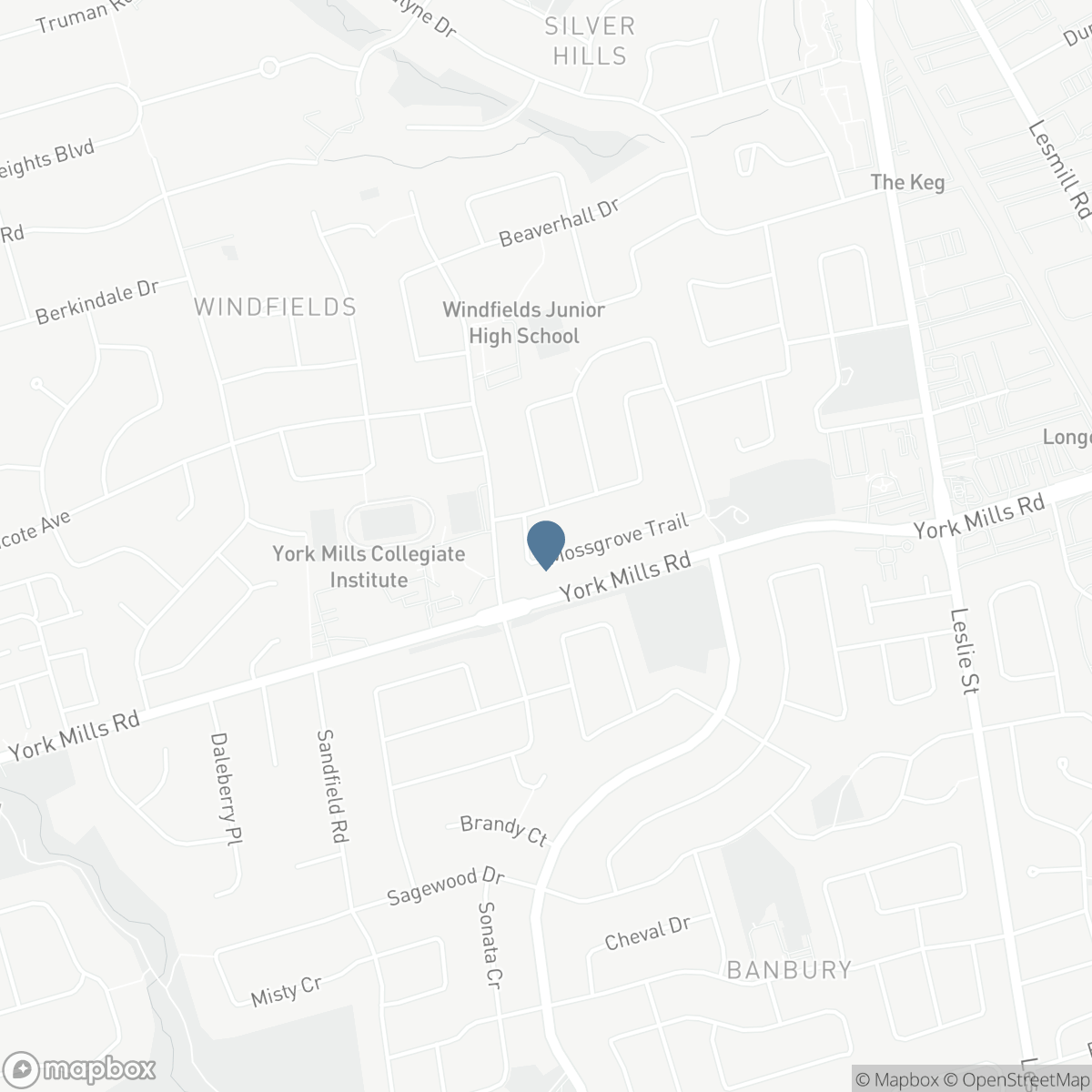 20 MOSSGROVE TRAIL, Toronto, Ontario M2L 2W3